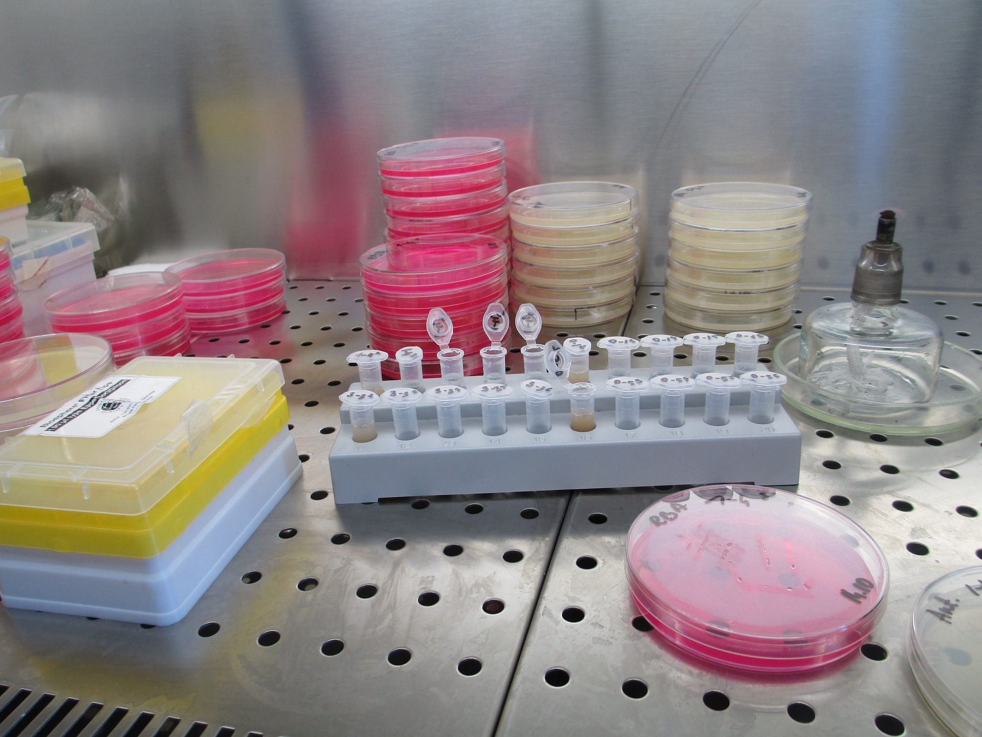 Blog series #2: The immune response in severe COVID-19 cases
